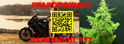 ешки Кудрово