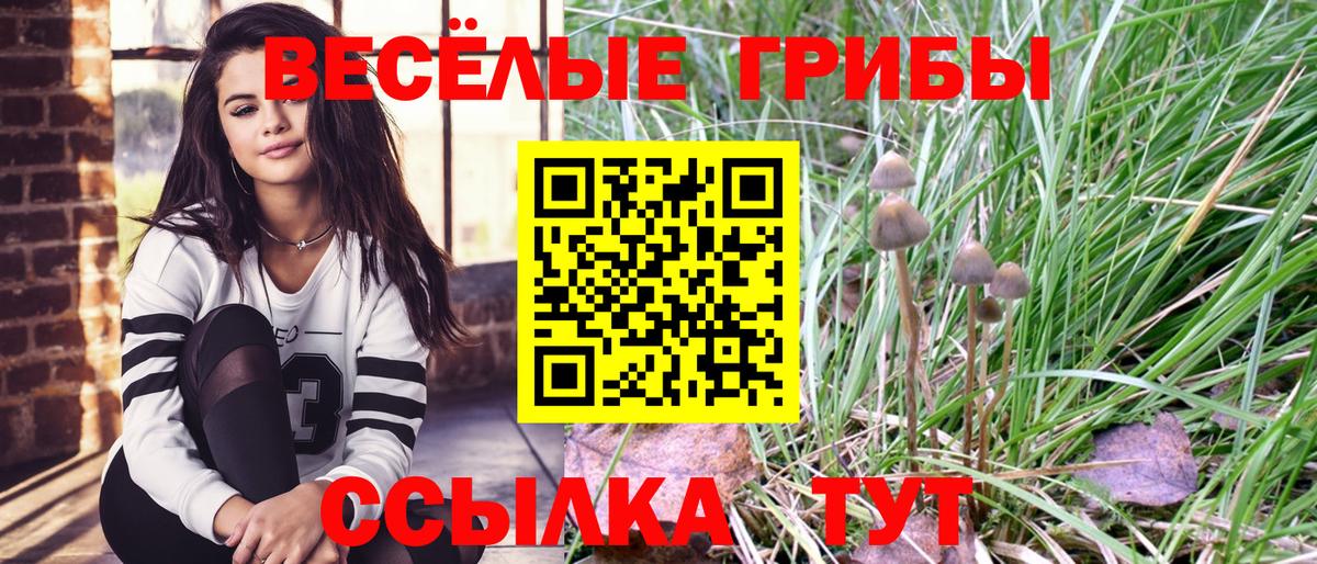 Галлюциногенные грибы Cubensis Новоалександровск