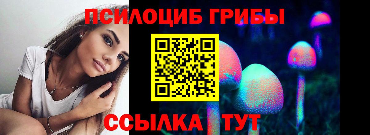 сколько стоит  Вход с VPN  Новоалександровск  Галлюциногенные грибы Psilocybe 